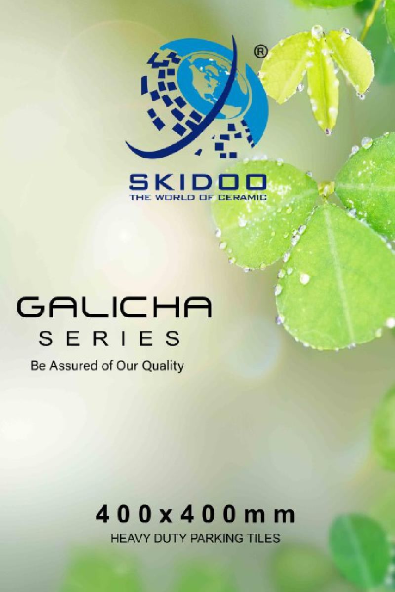  GALICHA SERIES 